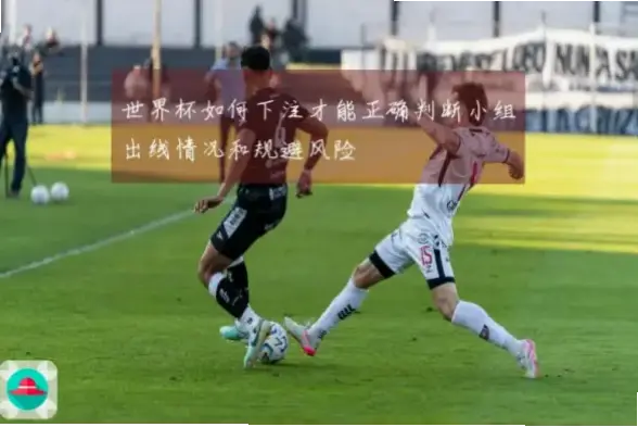 传统足彩新手常见误区与避坑指南